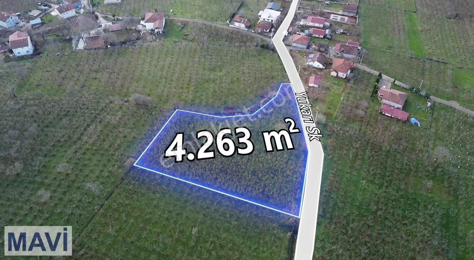 Kazımiyede İmar Sınırında 4.263 M² Satılık Fındık Bahçesi - Görsel 7