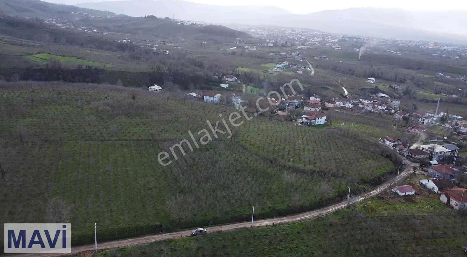 Kazımiyede İmar Sınırında 4.263 M² Satılık Fındık Bahçesi