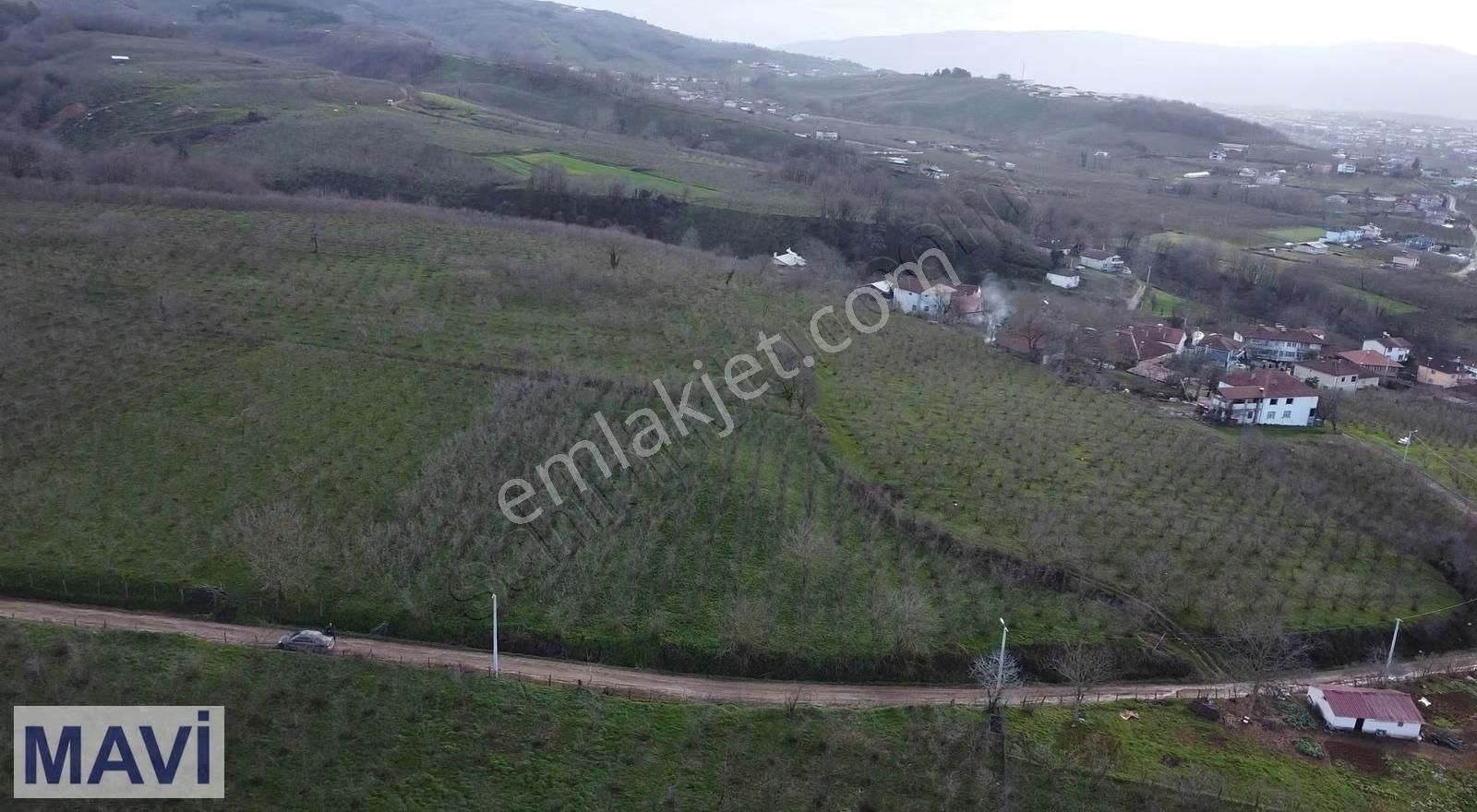 Kazımiyede İmar Sınırında 4.263 M² Satılık Fındık Bahçesi - Görsel 10