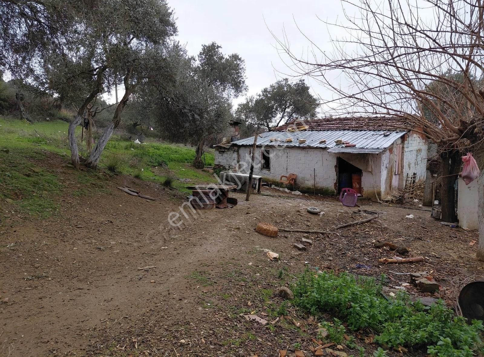 Ersoy Emlak'tan Satılık Kavgir Evi Bulunan Büyük Tarla - Görsel 9