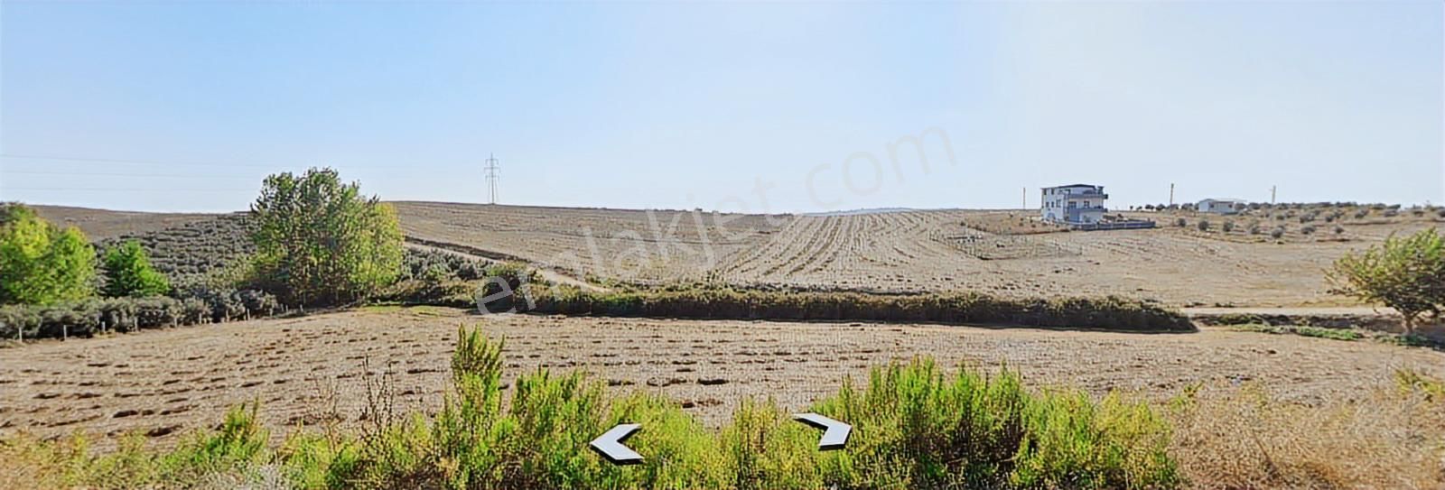 Adana/ceyhan/sarımazı Mah. Konut İmarlı Arsa