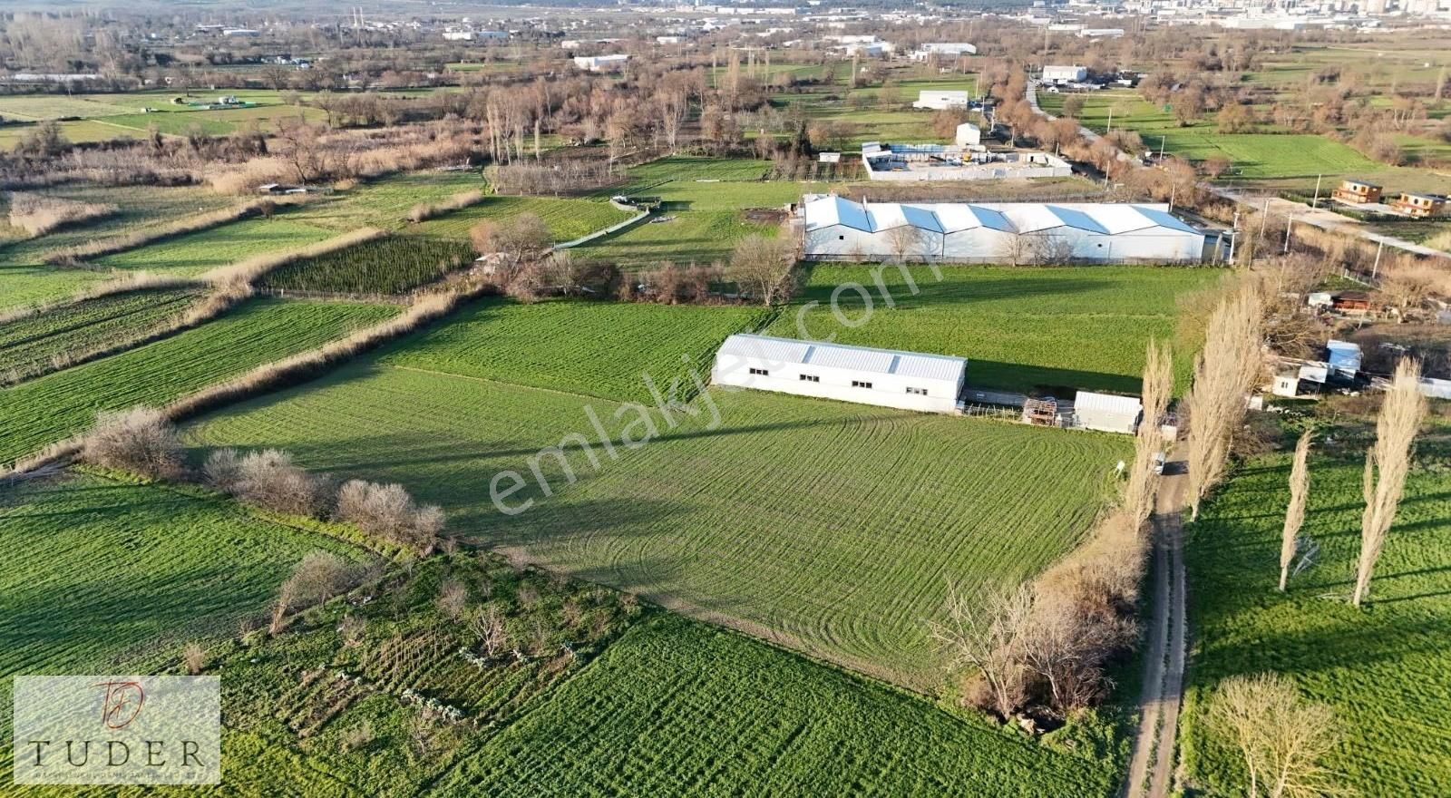Nilüfer Yaylacıkta Yatırımın Adresinde 7 Dönüm Tarla - Görsel 8