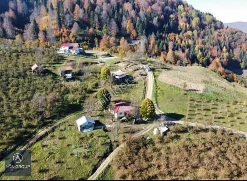 Yön Group'tan Hendek'te Satılık Tarla - Görsel 3