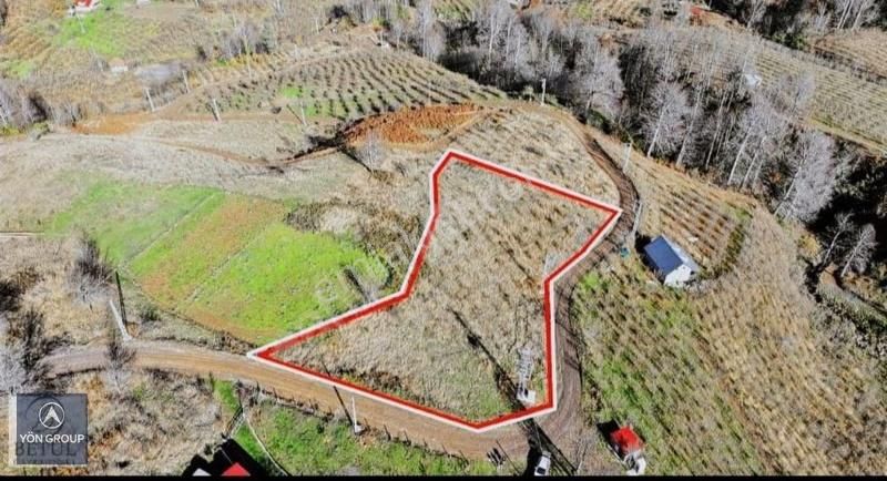 Yön Group'tan Hendek'te Satılık Tarla - Görsel 2