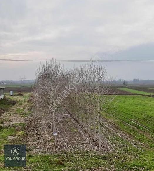 Yön Group'tan Yenidoğanda Yola Cephe Yatırımlık Satılık Tarla - Görsel 7