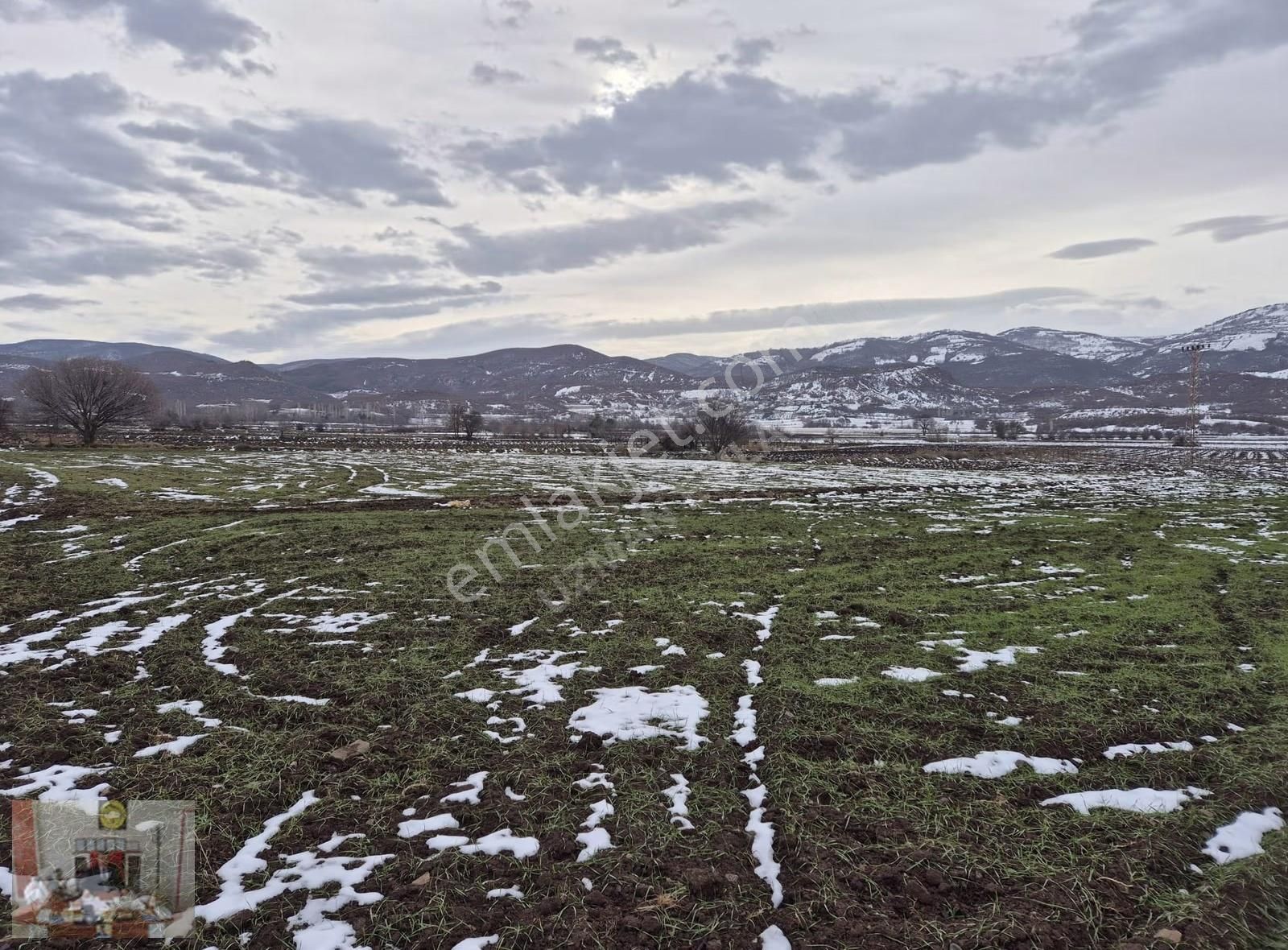 Tokat Merkez Pınarlı Köyünde 2608 M² Satılık Tarla - Görsel 12
