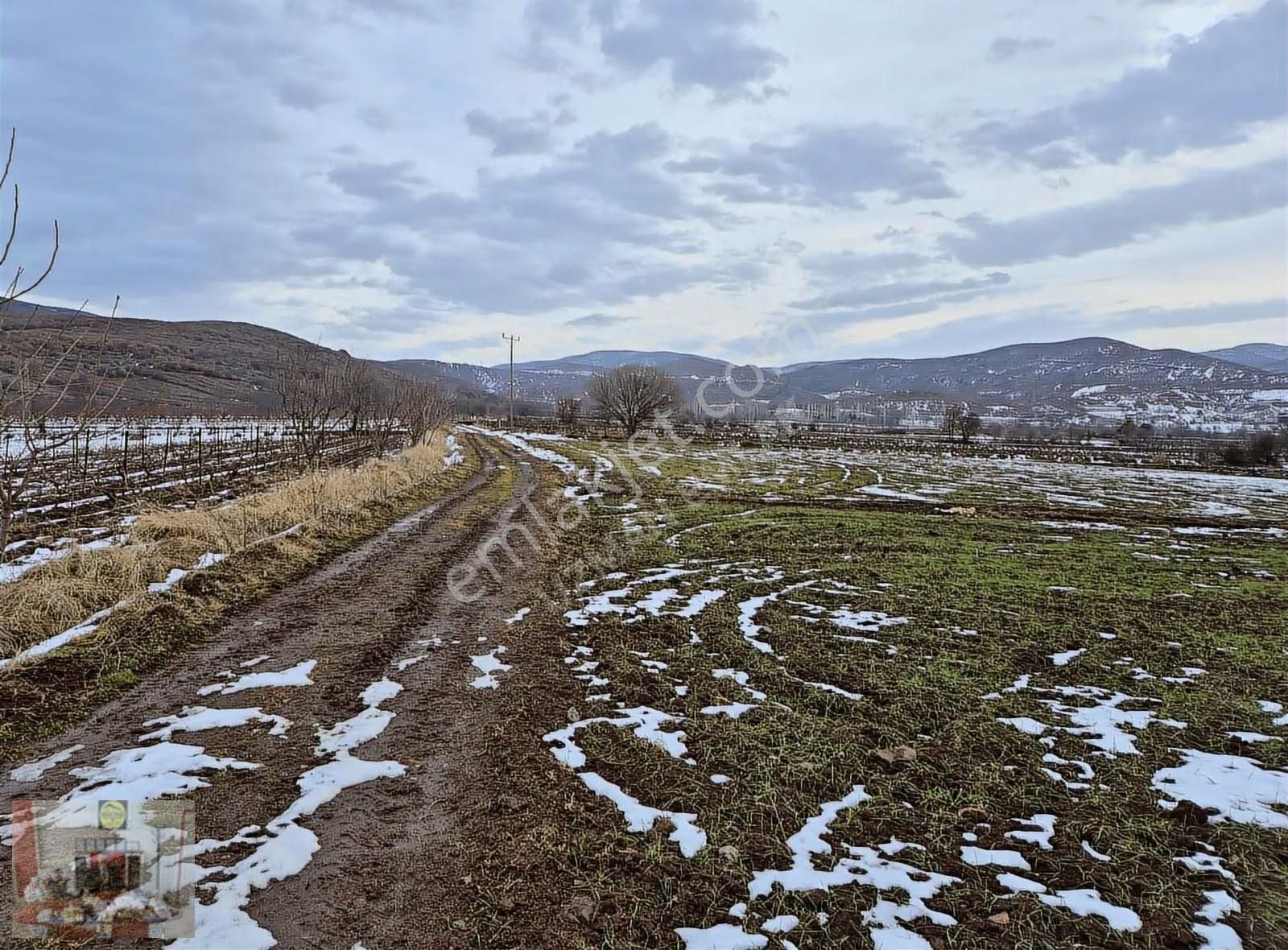 Tokat Merkez Pınarlı Köyünde 2608 M² Satılık Tarla - Görsel 8