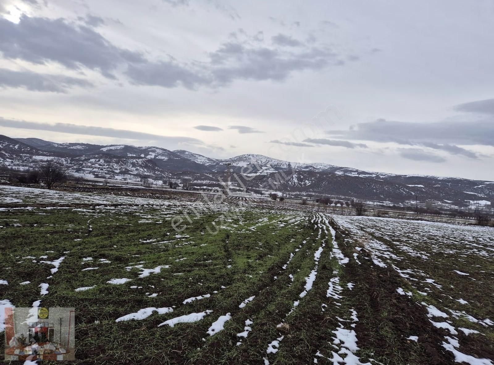 Tokat Merkez Pınarlı Köyünde 2608 M² Satılık Tarla - Görsel 3