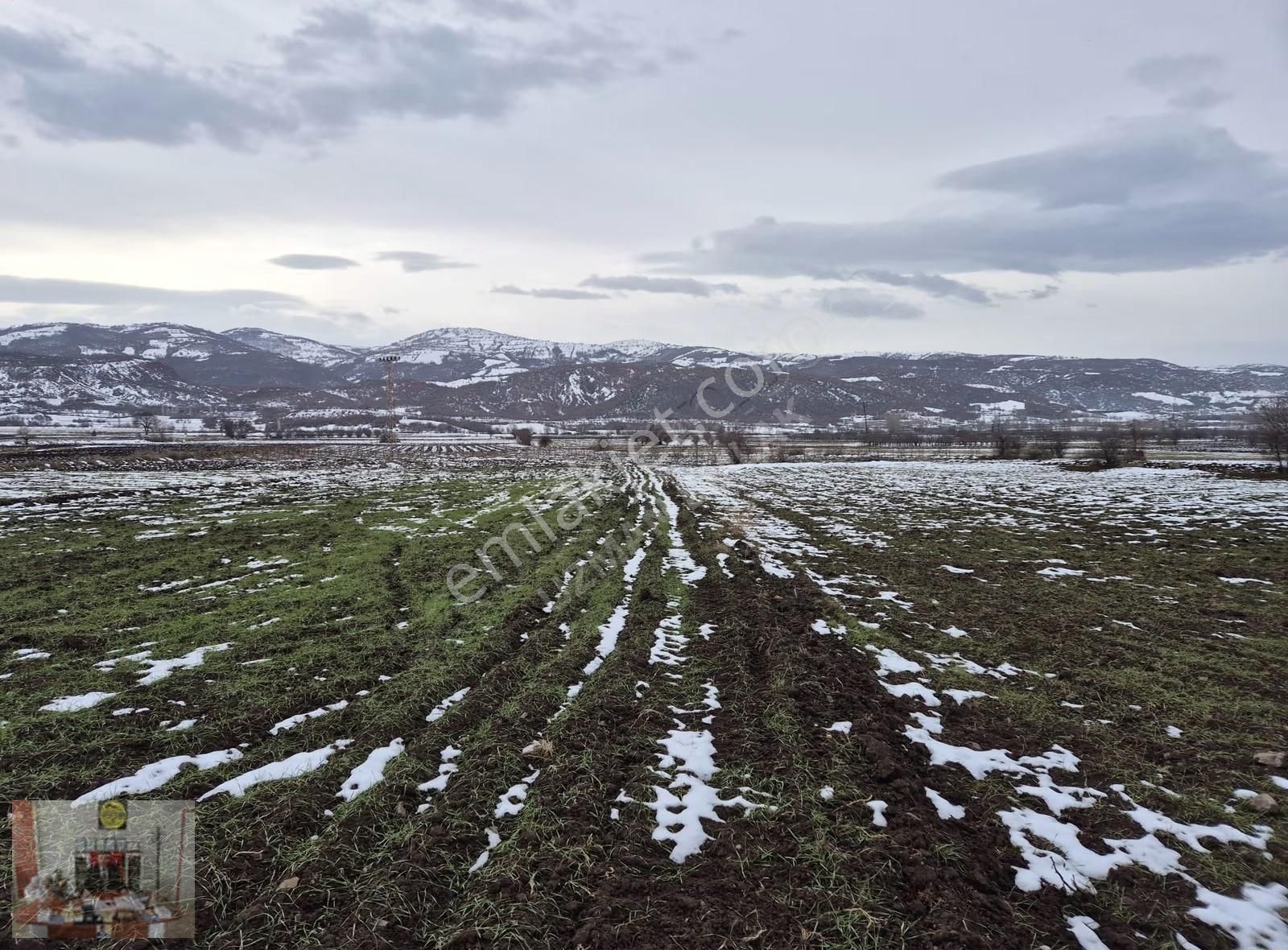 Tokat Merkez Pınarlı Köyünde 2608 M² Satılık Tarla - Görsel 13