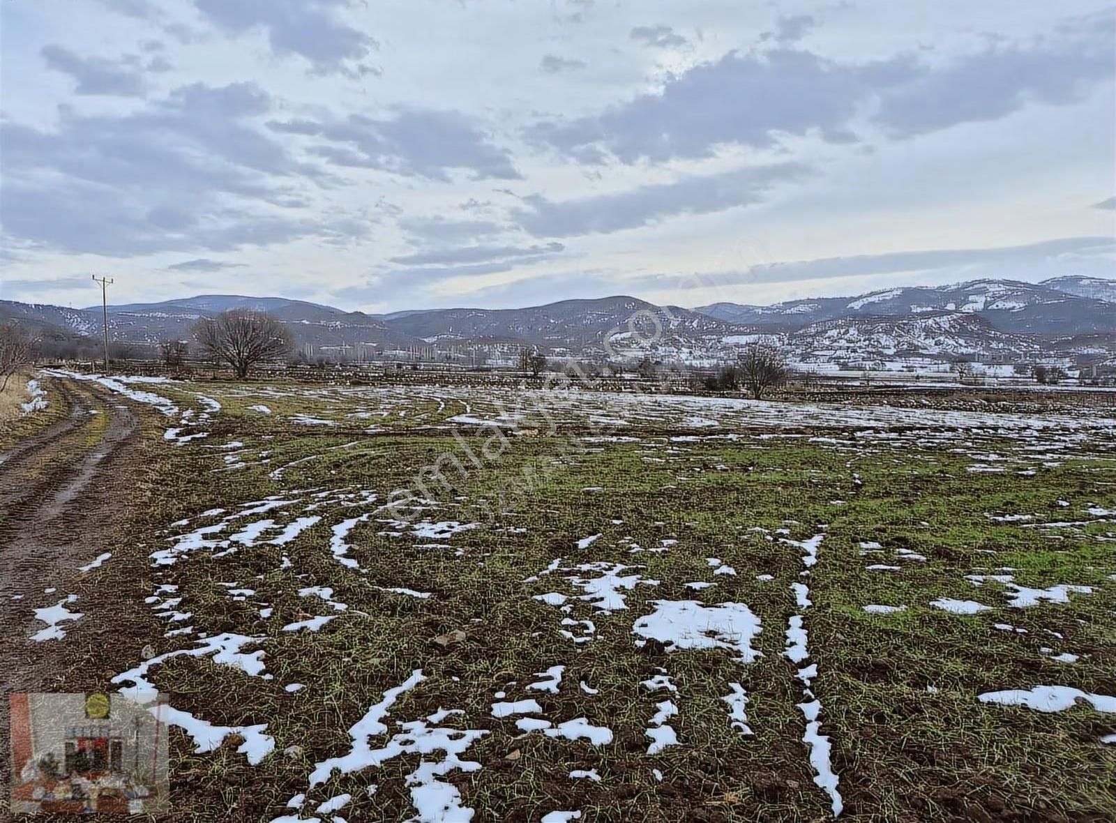 Tokat Merkez Pınarlı Köyünde 2608 M² Satılık Tarla - Görsel 9