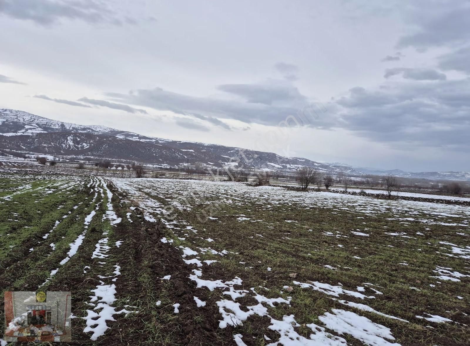 Tokat Merkez Pınarlı Köyünde 2608 M² Satılık Tarla - Görsel 14