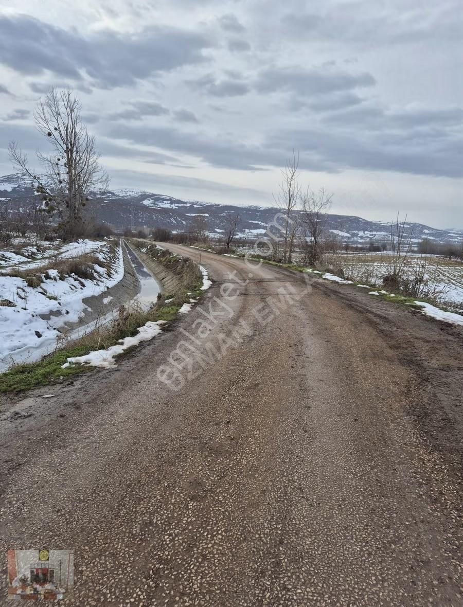 Tokat Merkez Pınarlı Köyünde 2608 M² Satılık Tarla - Görsel 11
