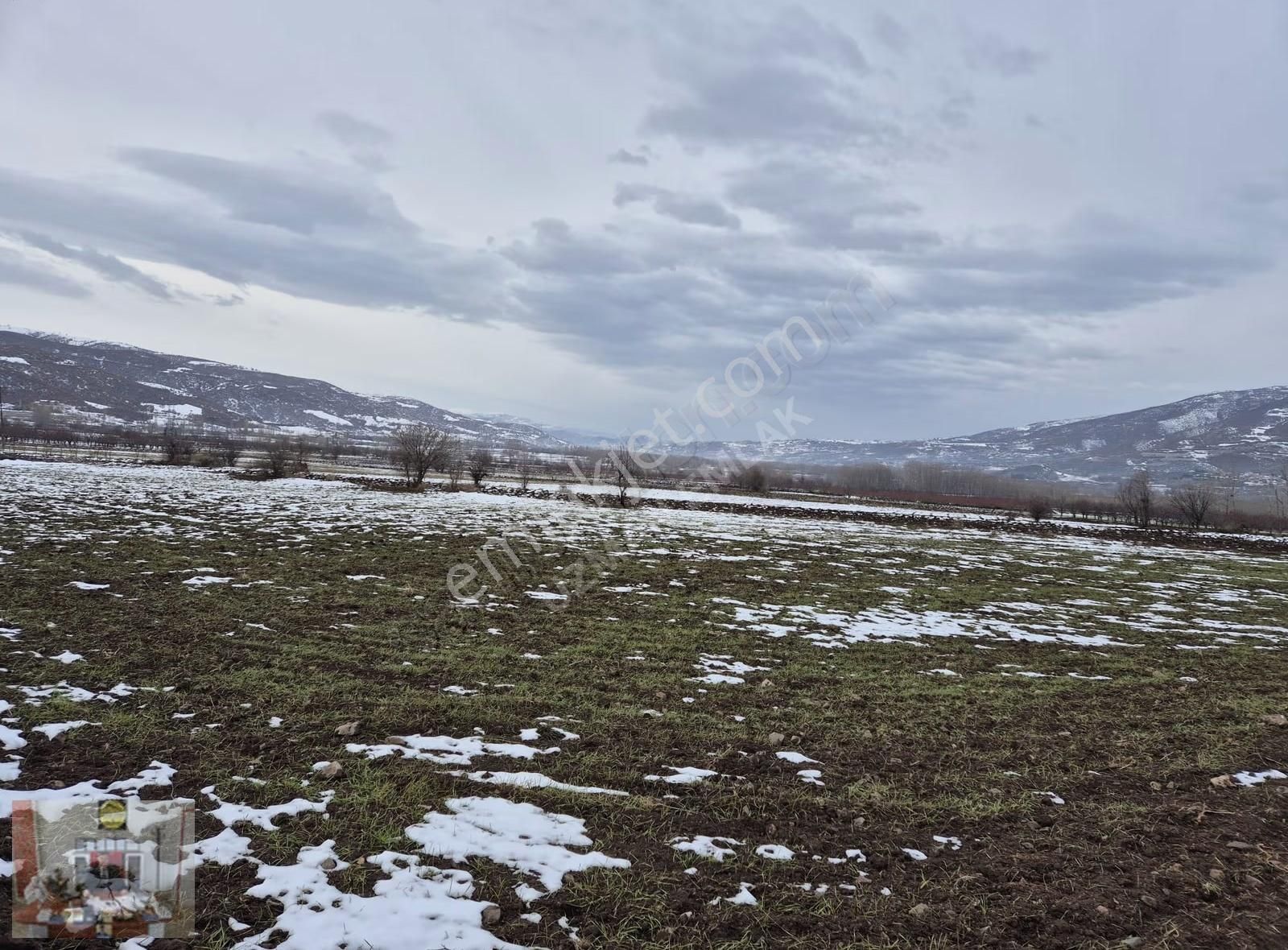 Tokat Merkez Pınarlı Köyünde 2608 M² Satılık Tarla - Görsel 5