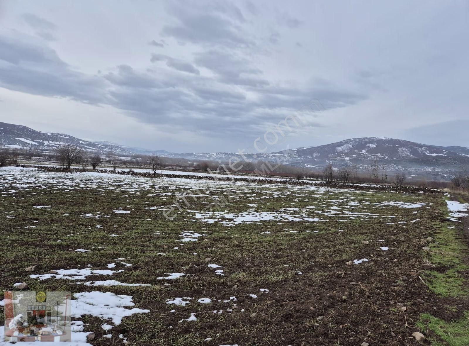 Tokat Merkez Pınarlı Köyünde 2608 M² Satılık Tarla - Görsel 6