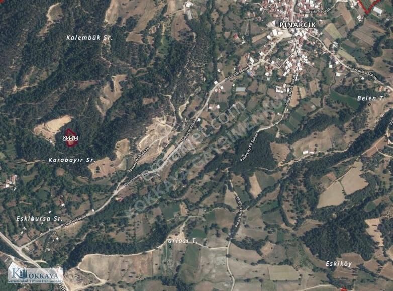 Kökkaya'dan Keles Pınarcıkta Yatırımlık Tarla - Görsel 2