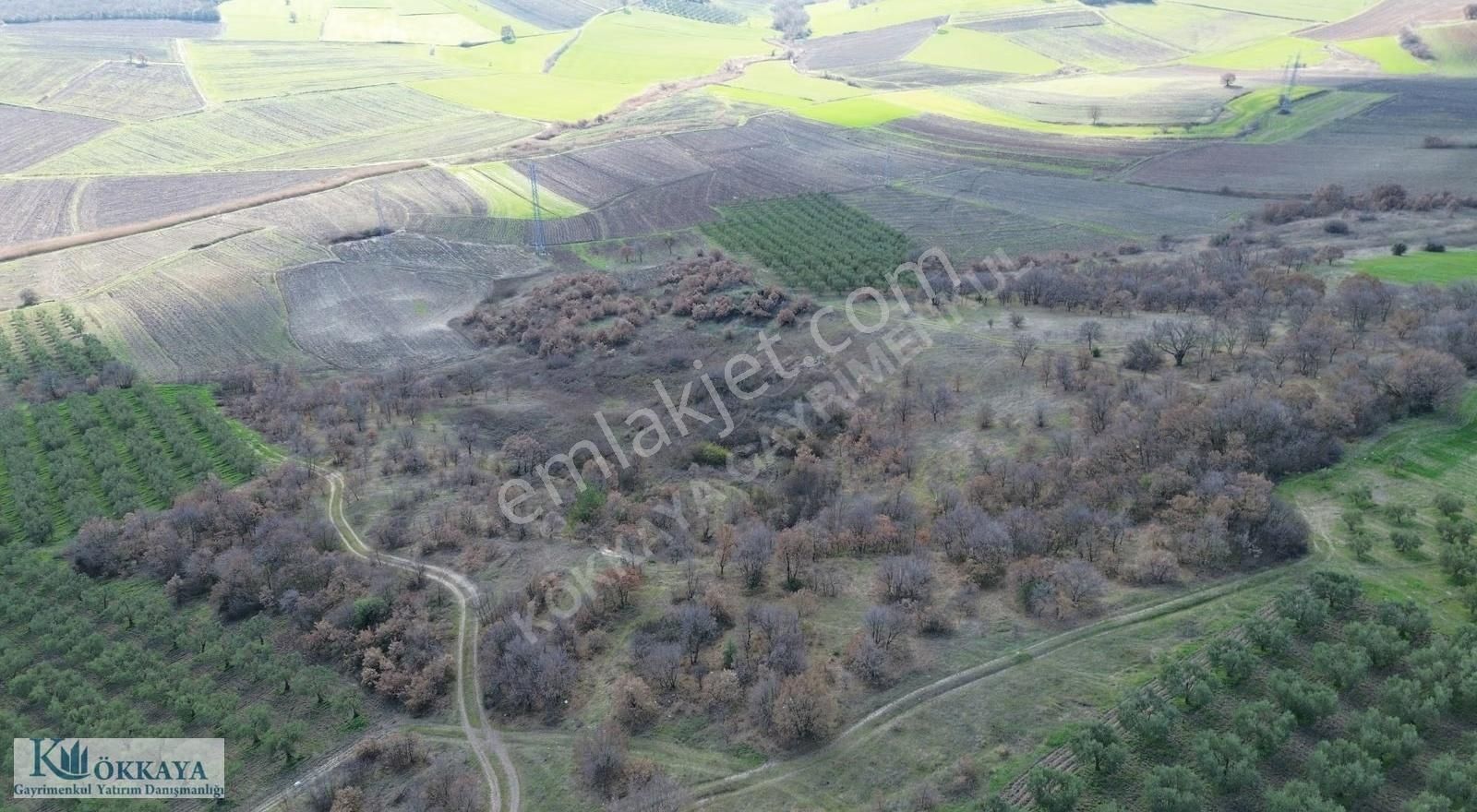 Kökkaya'dan Konaklıda Göl Manzaralı Ulaşımı Kolay Satılık Tarla