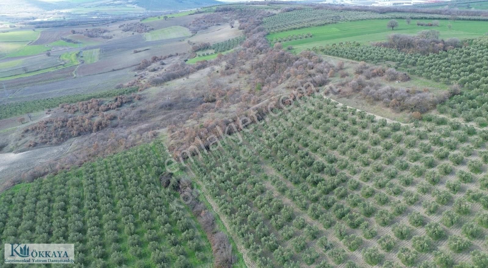 Kökkaya'dan Konaklıda Göl Manzaralı Ulaşımı Kolay Satılık Tarla - Görsel 8