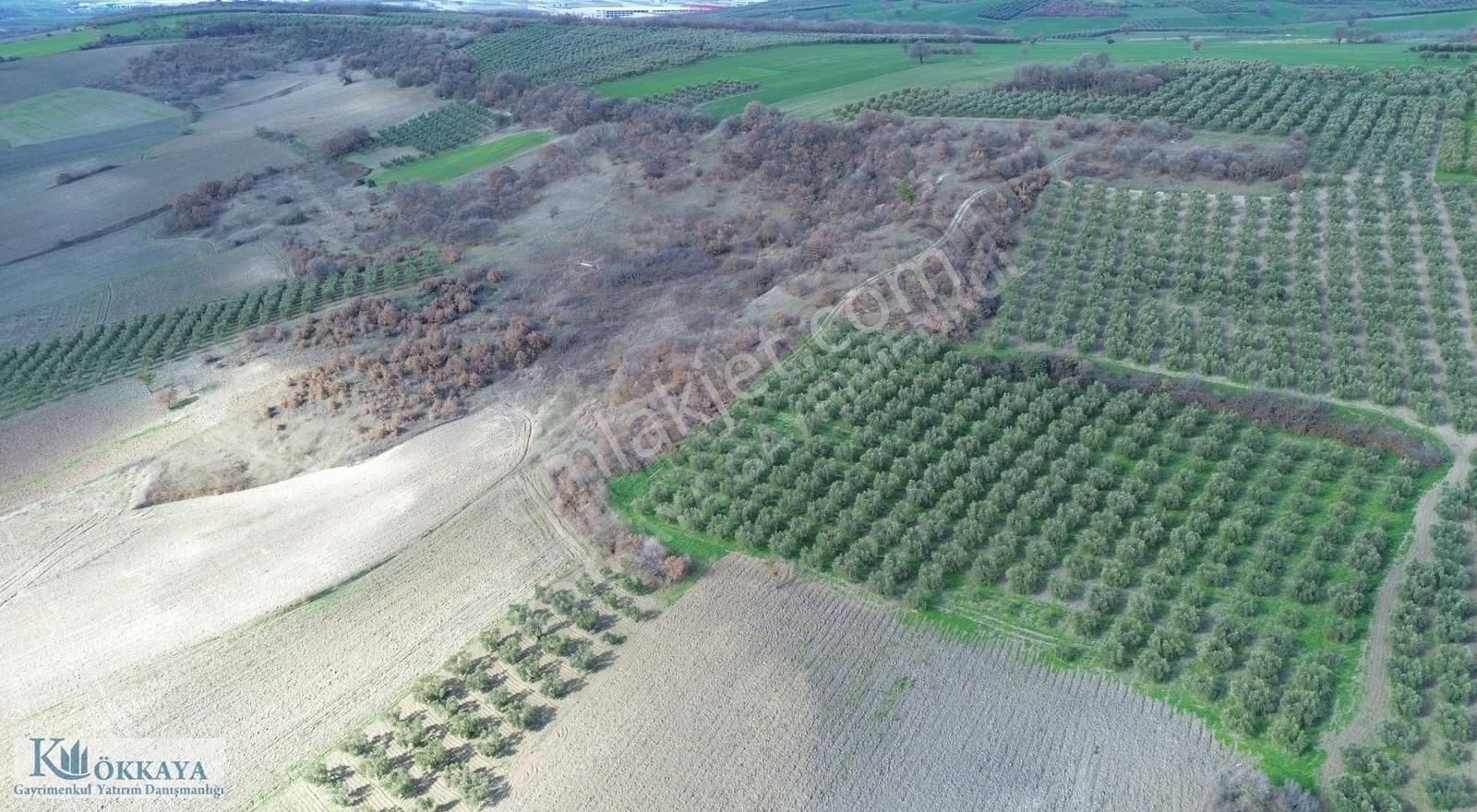Kökkaya'dan Konaklıda Göl Manzaralı Ulaşımı Kolay Satılık Tarla - Görsel 7