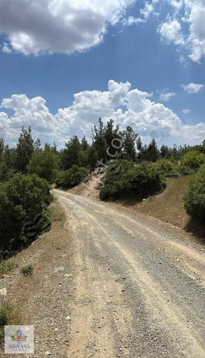 Acil Satılık Boş Tarla Karacasuda 6.231 M2 - Görsel 4