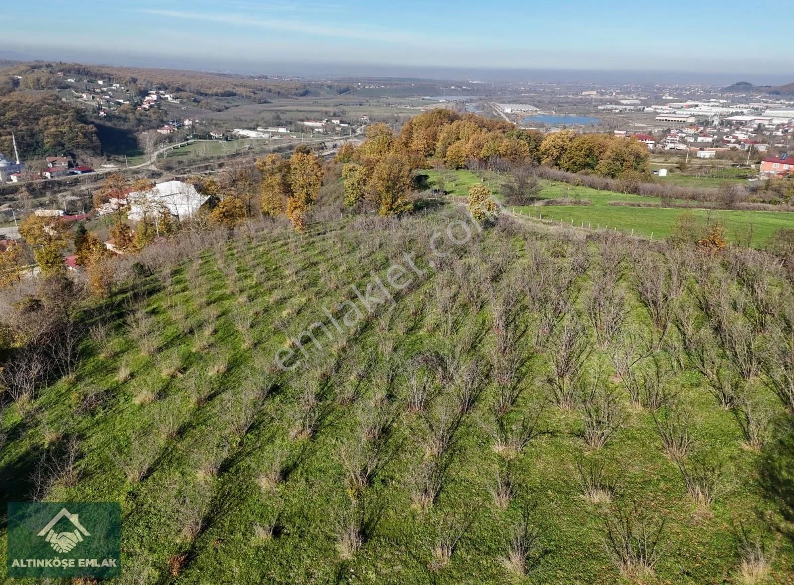 Altınköşe Emlak; Satılık Kuzuluk İmar Planı İçinde 5.695m2 Bahçe - Görsel 8