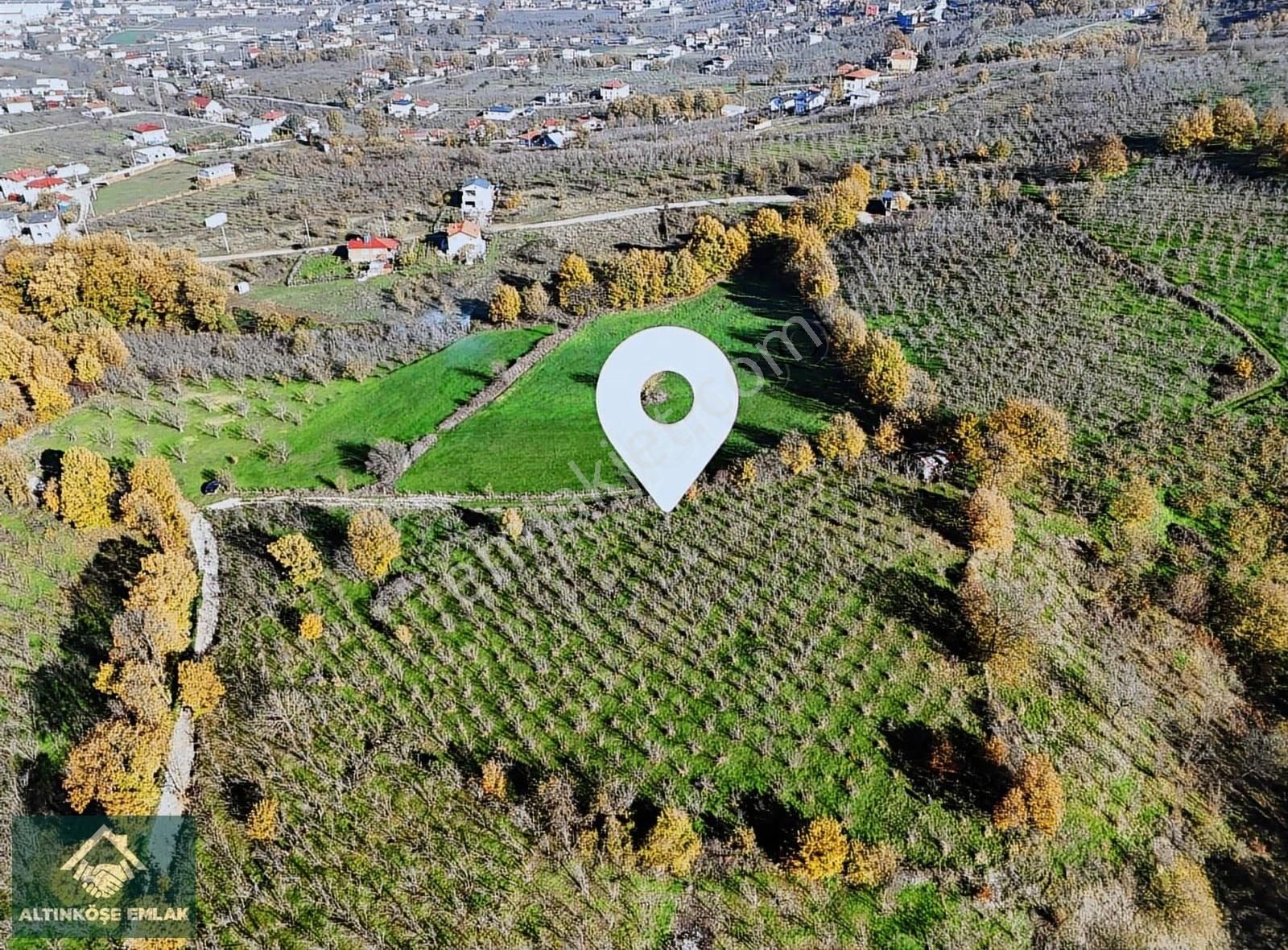 Altınköşe Emlak; Satılık Kuzuluk İmar Planı İçinde 5.695m2 Bahçe - Görsel 14