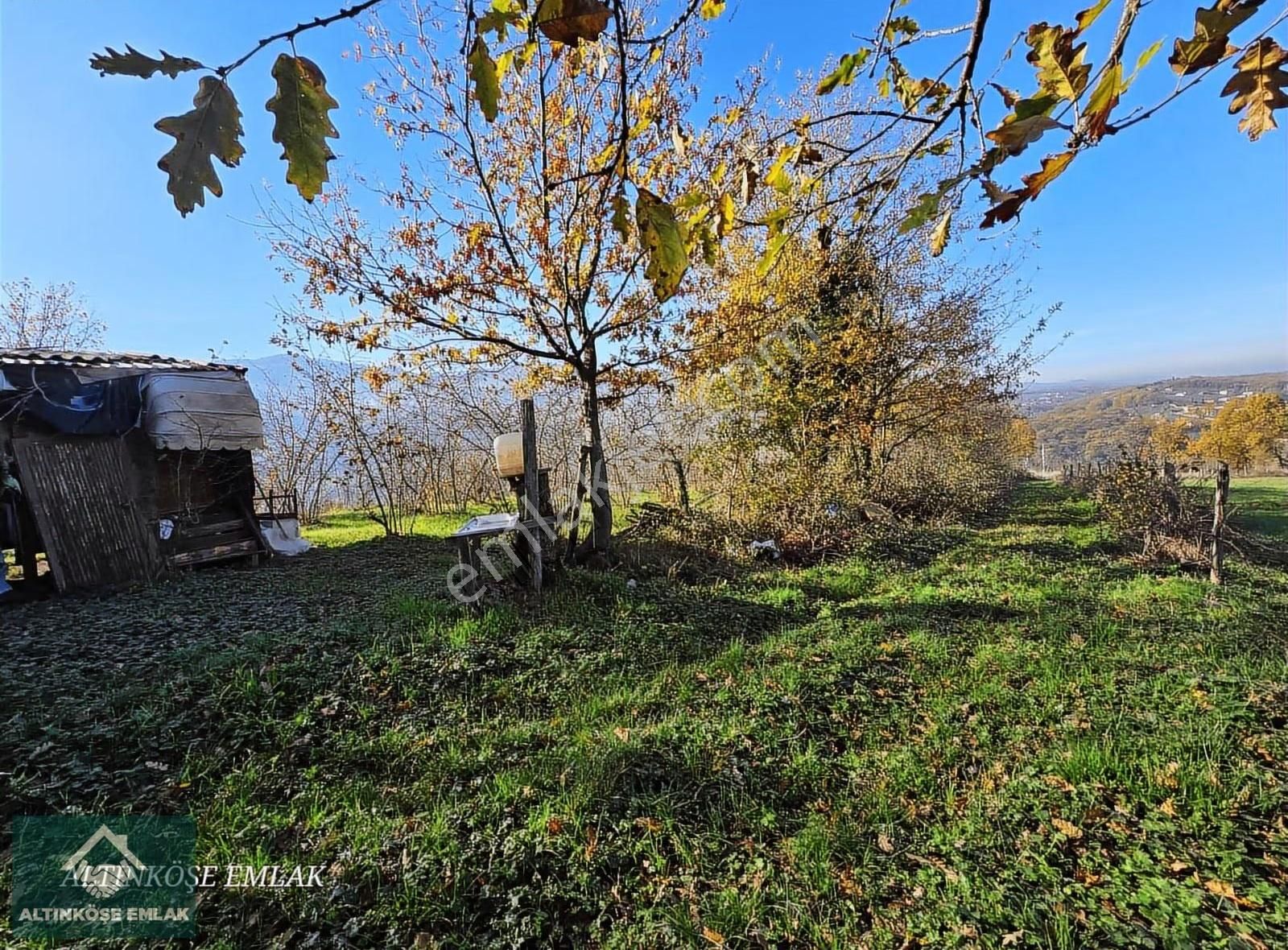 Altınköşe Emlak; Satılık Kuzuluk İmar Planı İçinde 5.695m2 Bahçe - Görsel 10