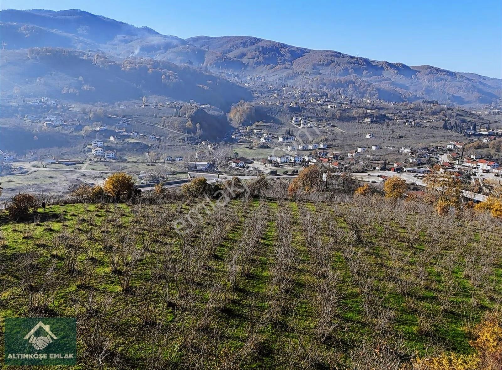 Altınköşe Emlak; Satılık Kuzuluk İmar Planı İçinde 5.695m2 Bahçe - Görsel 33