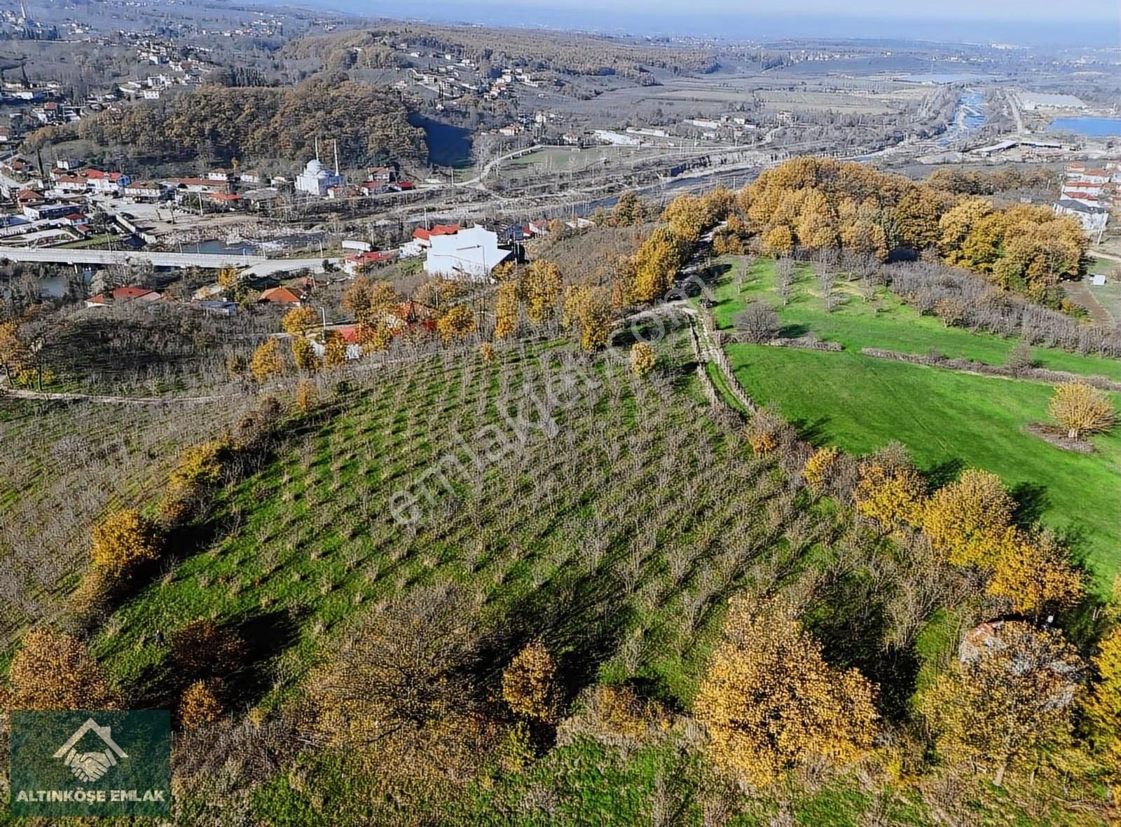 Altınköşe Emlak; Satılık Kuzuluk İmar Planı İçinde 5.695m2 Bahçe - Görsel 17