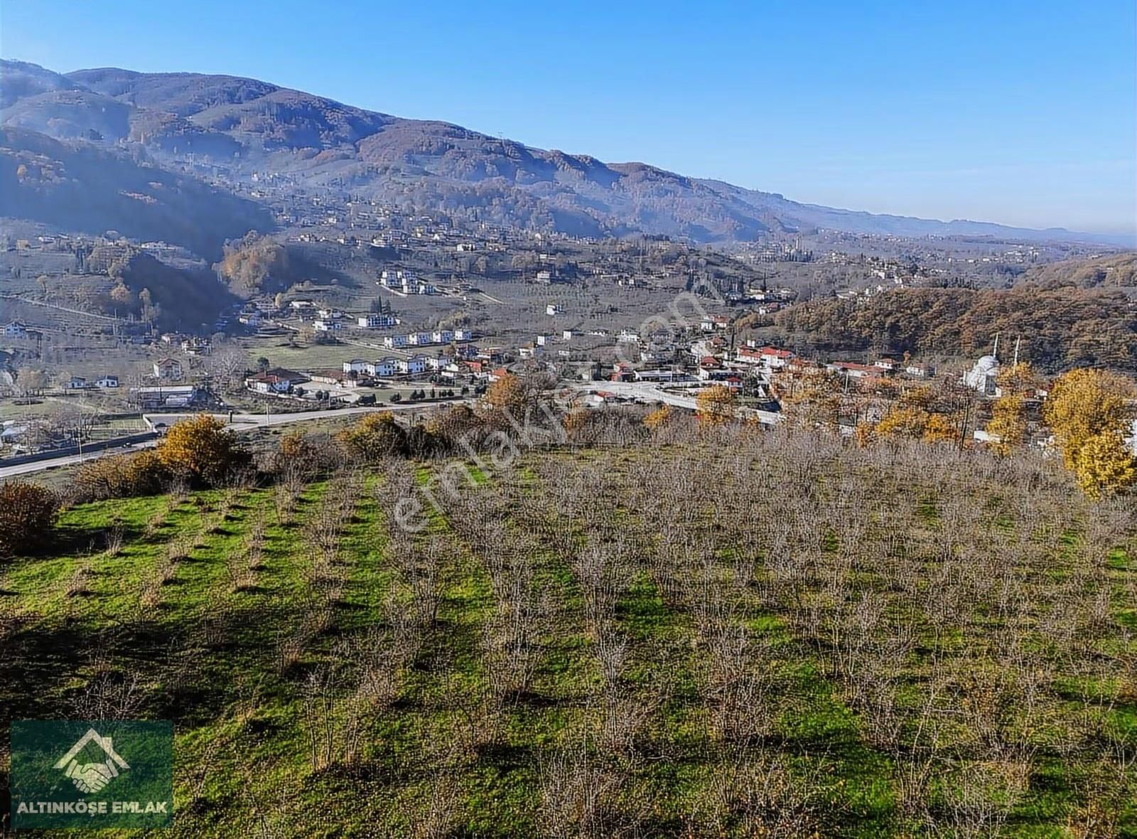 Altınköşe Emlak; Satılık Kuzuluk İmar Planı İçinde 5.695m2 Bahçe - Görsel 12