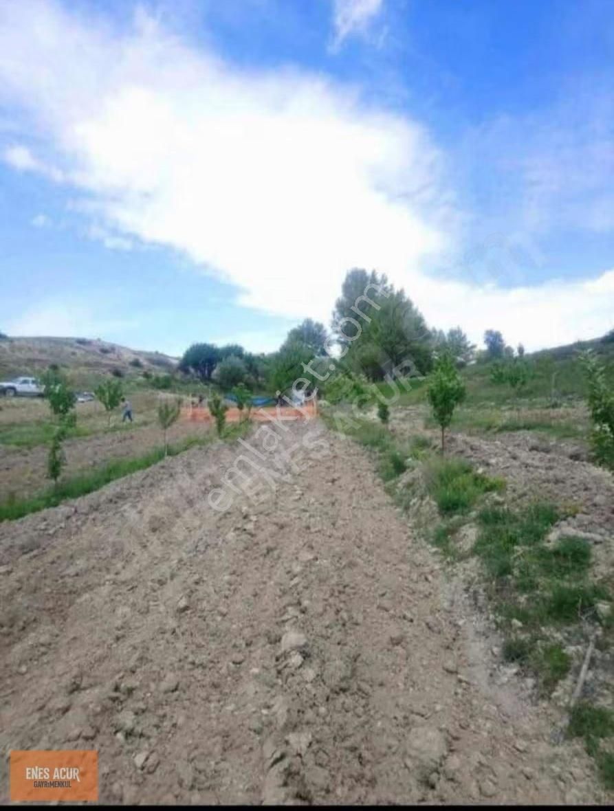 Enes Acur'dan Müstakil Arazi - Görsel 9