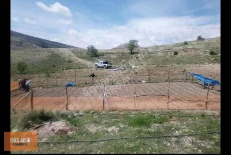 Enes Acur'dan Müstakil Arazi - Görsel 5