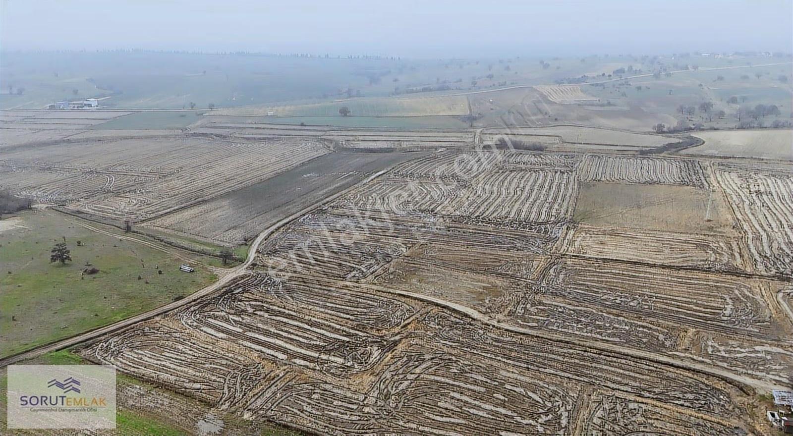 Enez Abdurrahim Köyünde 19.625 M² Satılık Çeltik Arazisi - Görsel 10