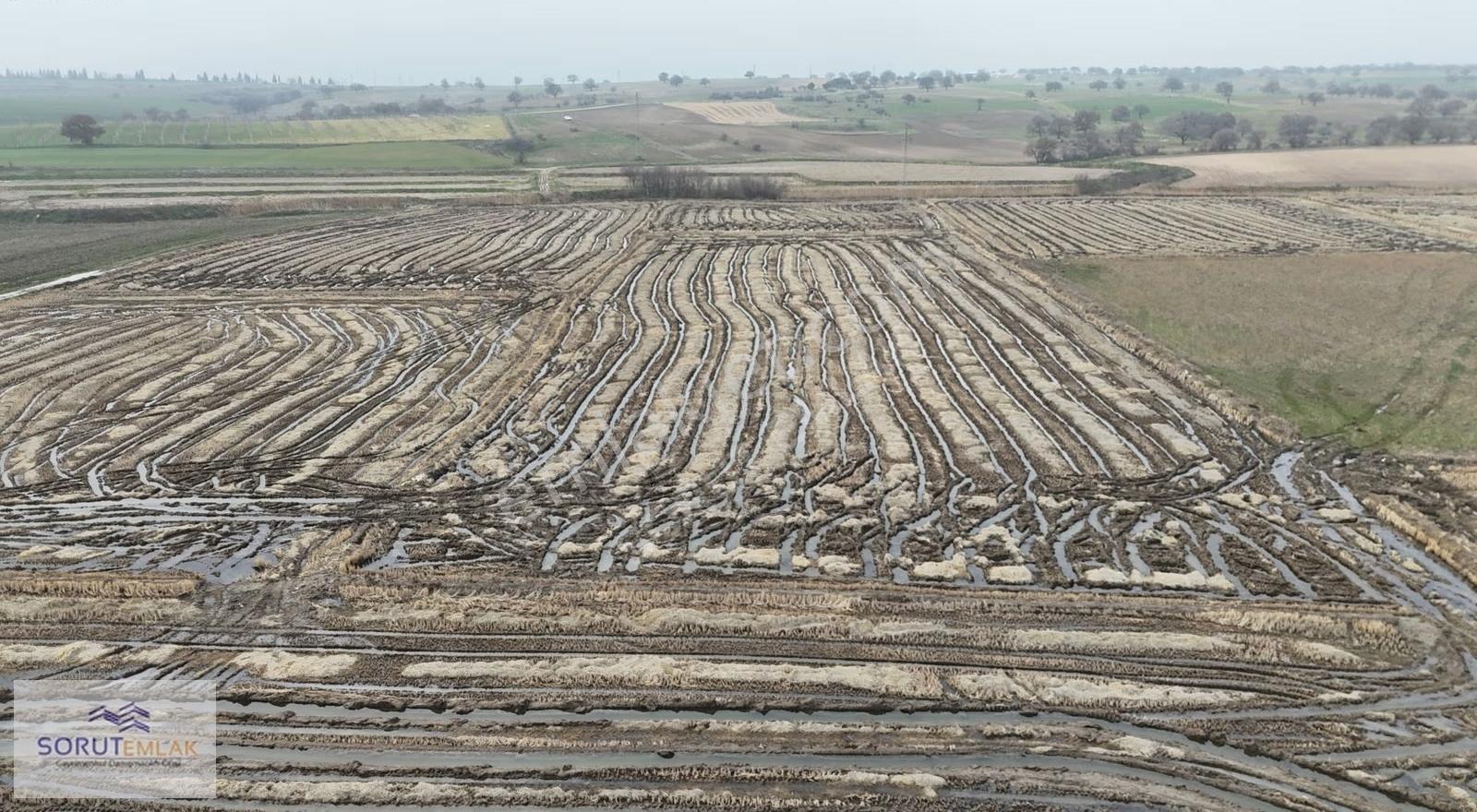 Enez Abdurrahim Köyünde 19.625 M² Satılık Çeltik Arazisi - Görsel 4