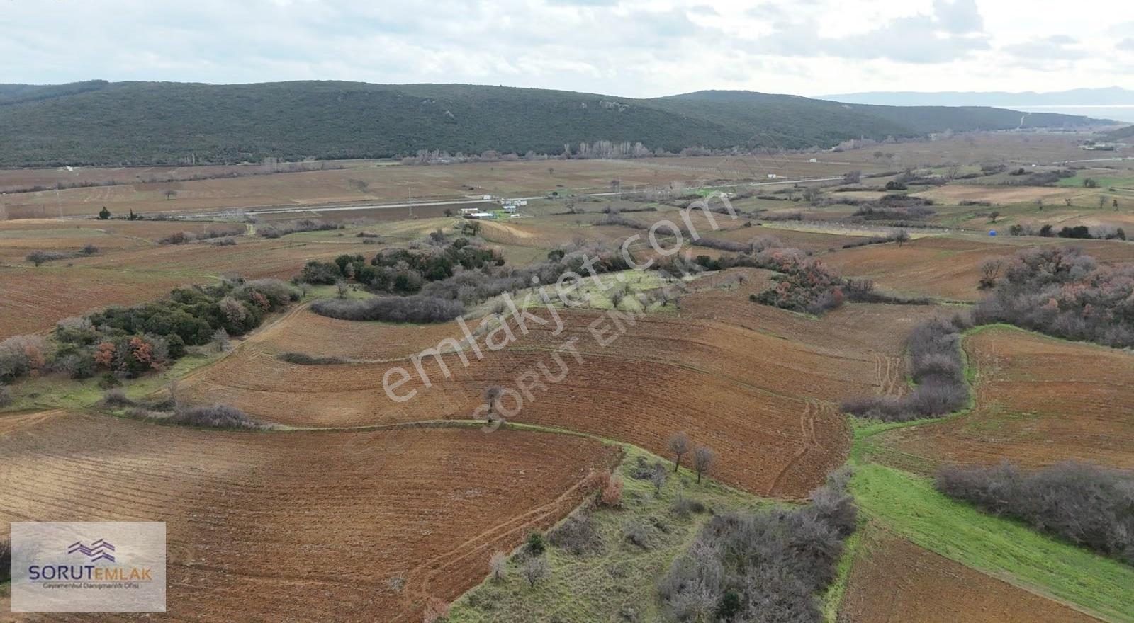 Mecidiyede Sahile Yakın 5.200 M² Müstakil Tapulu Satılık Tarla - Görsel 26