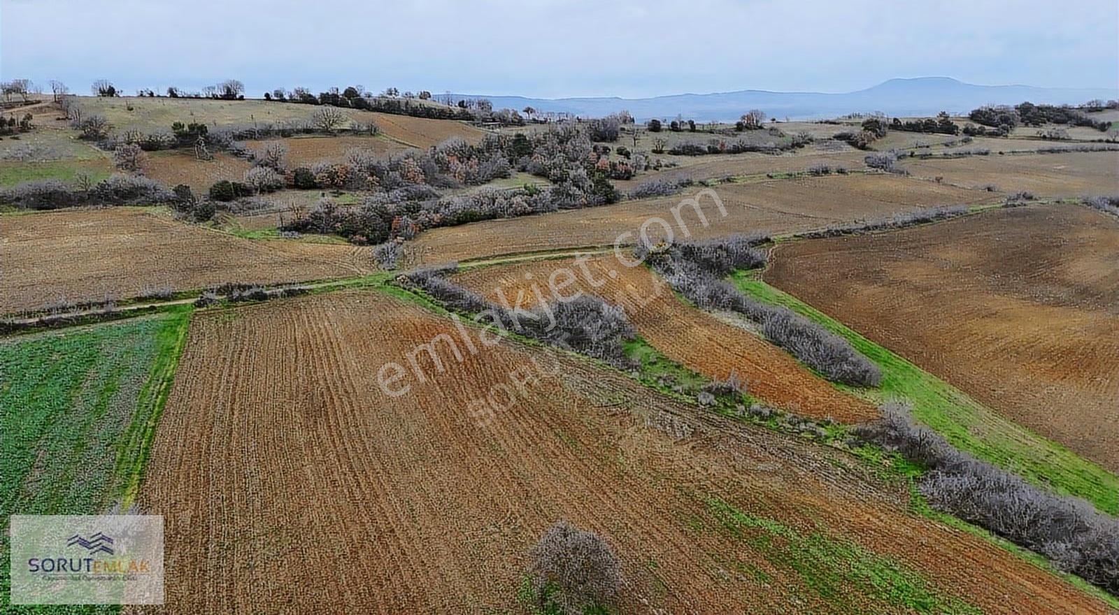 Mecidiyede Sahile Yakın 5.200 M² Müstakil Tapulu Satılık Tarla - Görsel 34