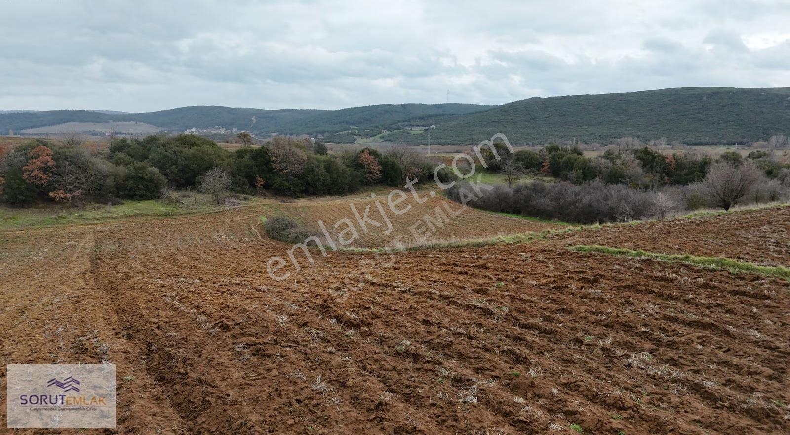Mecidiyede Sahile Yakın 5.200 M² Müstakil Tapulu Satılık Tarla - Görsel 14