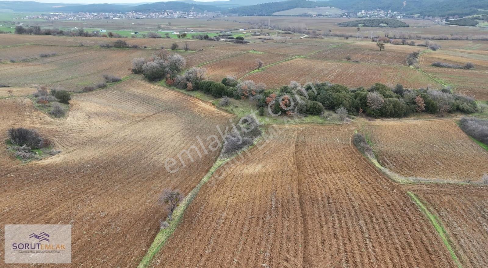 Mecidiyede Sahile Yakın 5.200 M² Müstakil Tapulu Satılık Tarla - Görsel 4