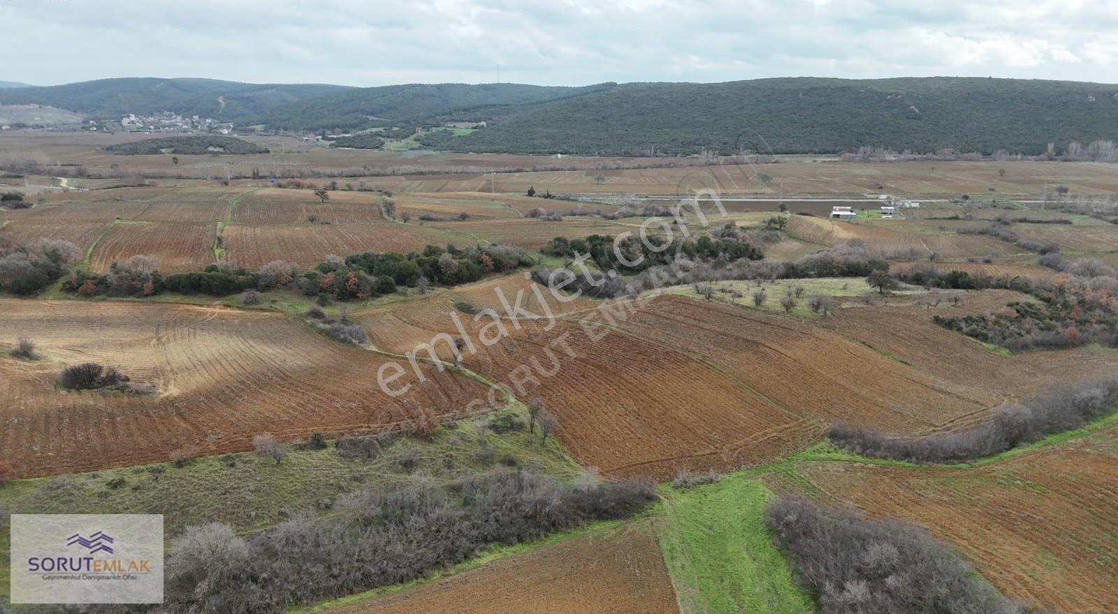 Mecidiyede Sahile Yakın 5.200 M² Müstakil Tapulu Satılık Tarla - Görsel 22