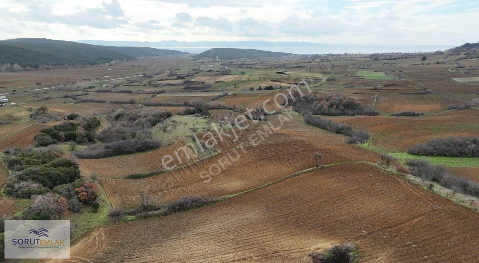 Mecidiyede Sahile Yakın 5.200 M² Müstakil Tapulu Satılık Tarla - Görsel 23
