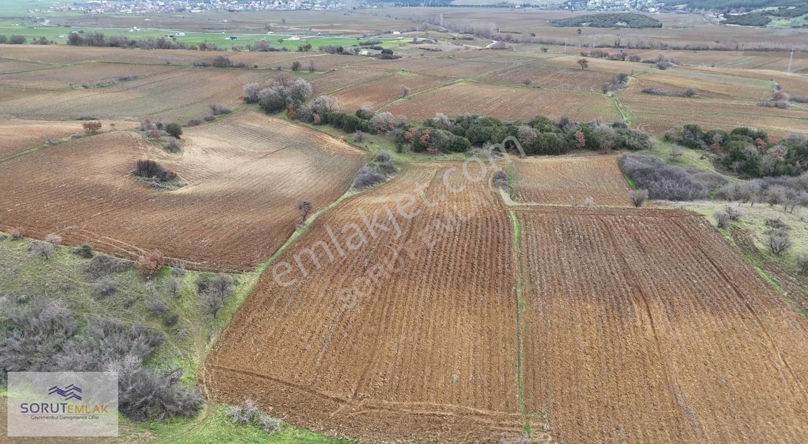 Mecidiyede Sahile Yakın 5.200 M² Müstakil Tapulu Satılık Tarla - Görsel 19