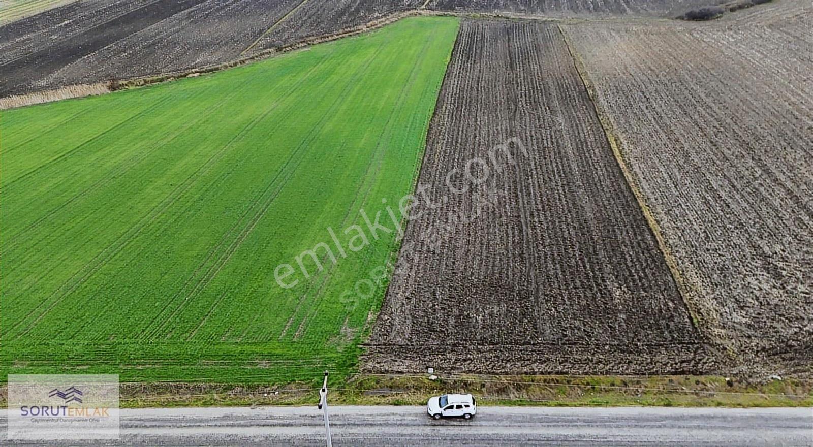 Türkmen Köyünde Ana Yola Cepheli 6.730 M² Satılık Tarla - Görsel 14