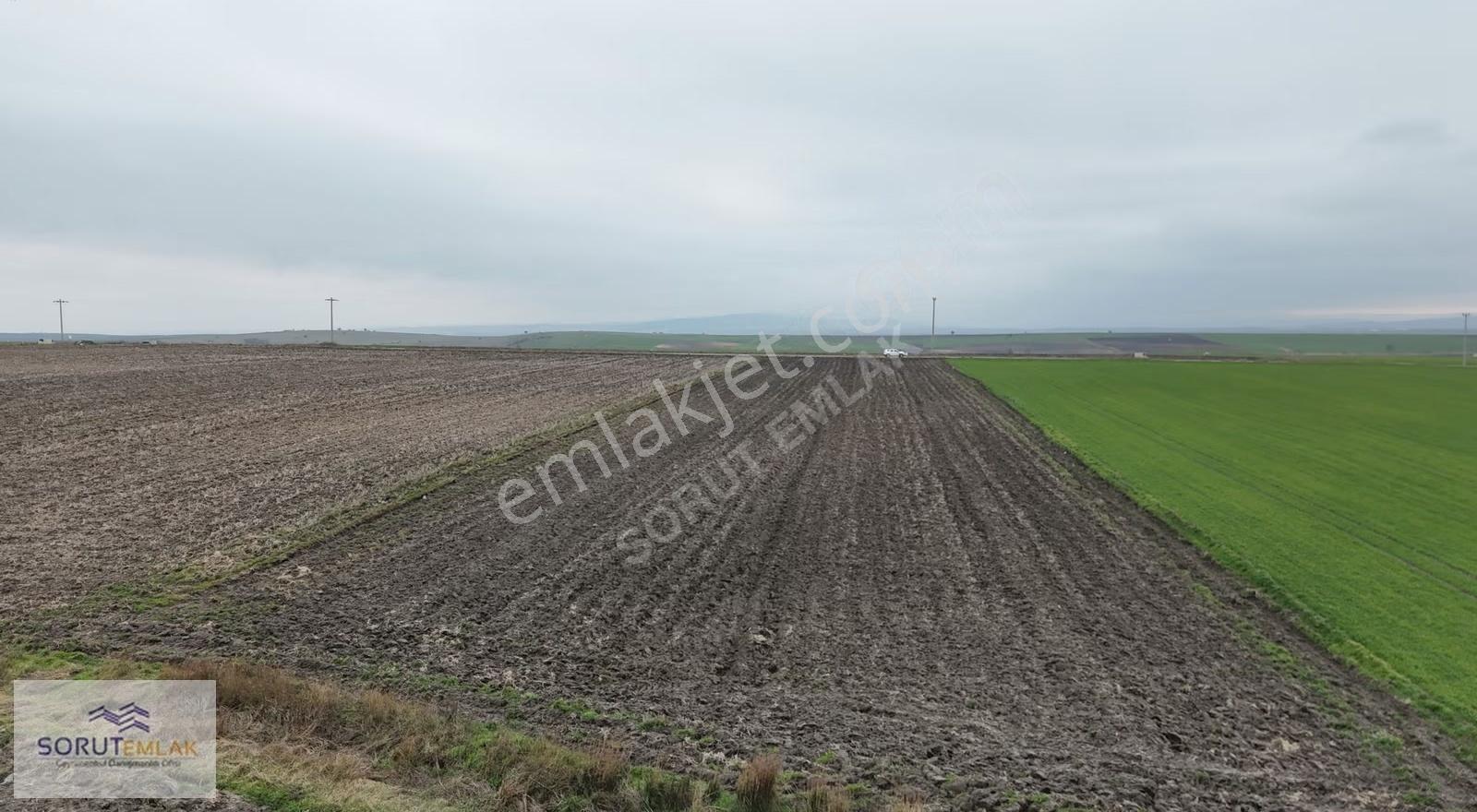Türkmen Köyünde Ana Yola Cepheli 6.730 M² Satılık Tarla - Görsel 3