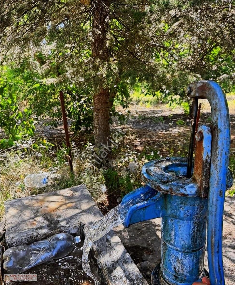 Müstakil Üzümlü De Eşsiz Tek Tapu 2 Dönüm Ev Ve Cevız Bahçesi - Görsel 5