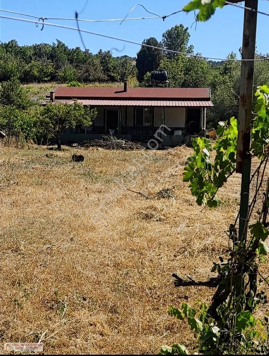 Müstakil Üzümlü De Eşsiz Tek Tapu 2 Dönüm Ev Ve Cevız Bahçesi - Görsel 7
