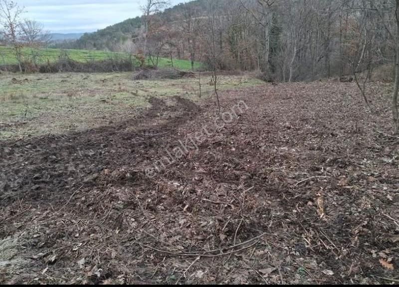 Orhaneli-karaoğlan'da İçinde Suyu Olan Satılık Tarla - Görsel 2