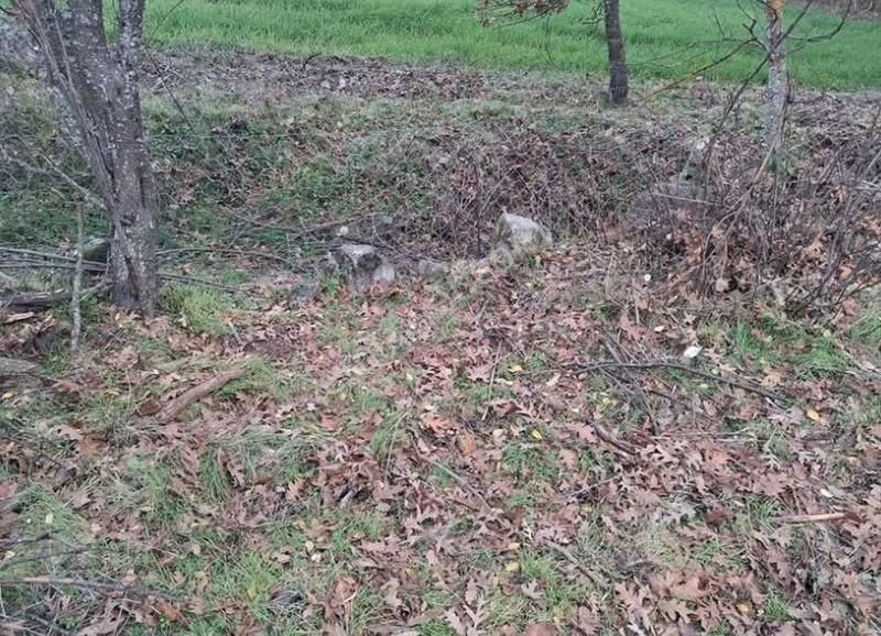 Orhaneli-karaoğlan'da İçinde Suyu Olan Satılık Tarla - Görsel 8