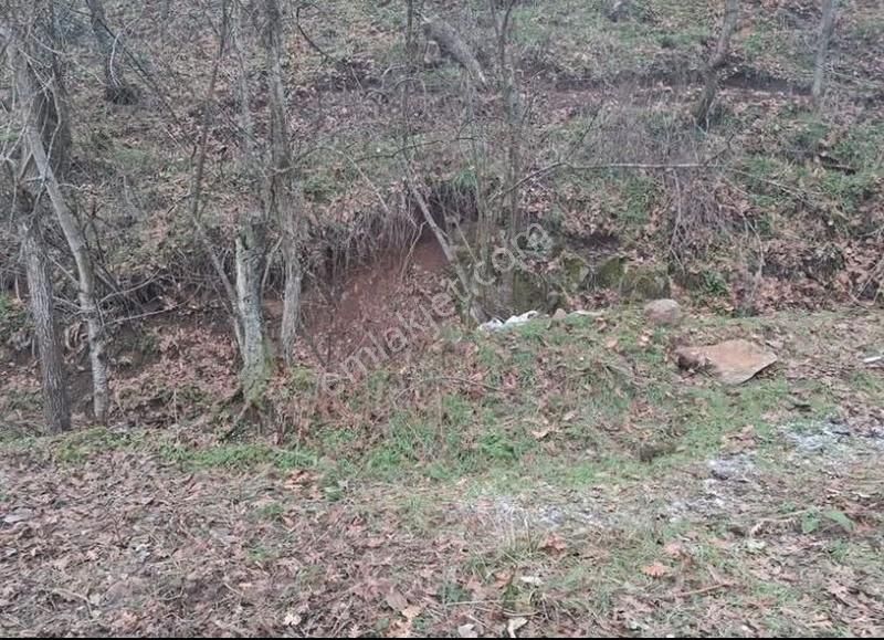 Orhaneli-karaoğlan'da İçinde Suyu Olan Satılık Tarla - Görsel 10