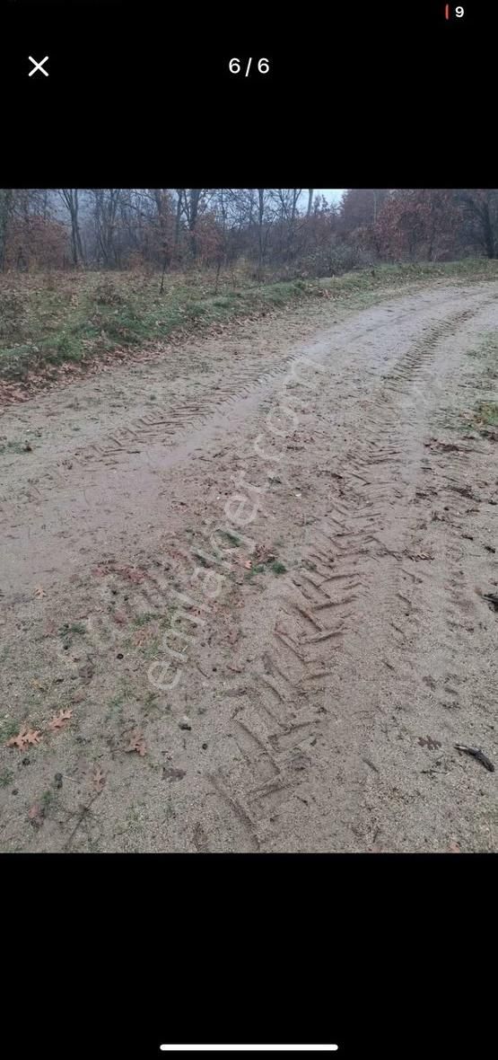 Orhaneli-karaoğlan'da İçinde Suyu Olan Satılık Tarla - Görsel 7