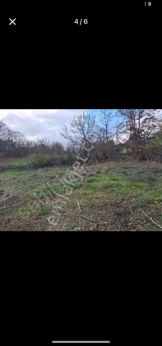 Orhaneli-karaoğlan'da İçinde Suyu Olan Satılık Tarla - Görsel 9