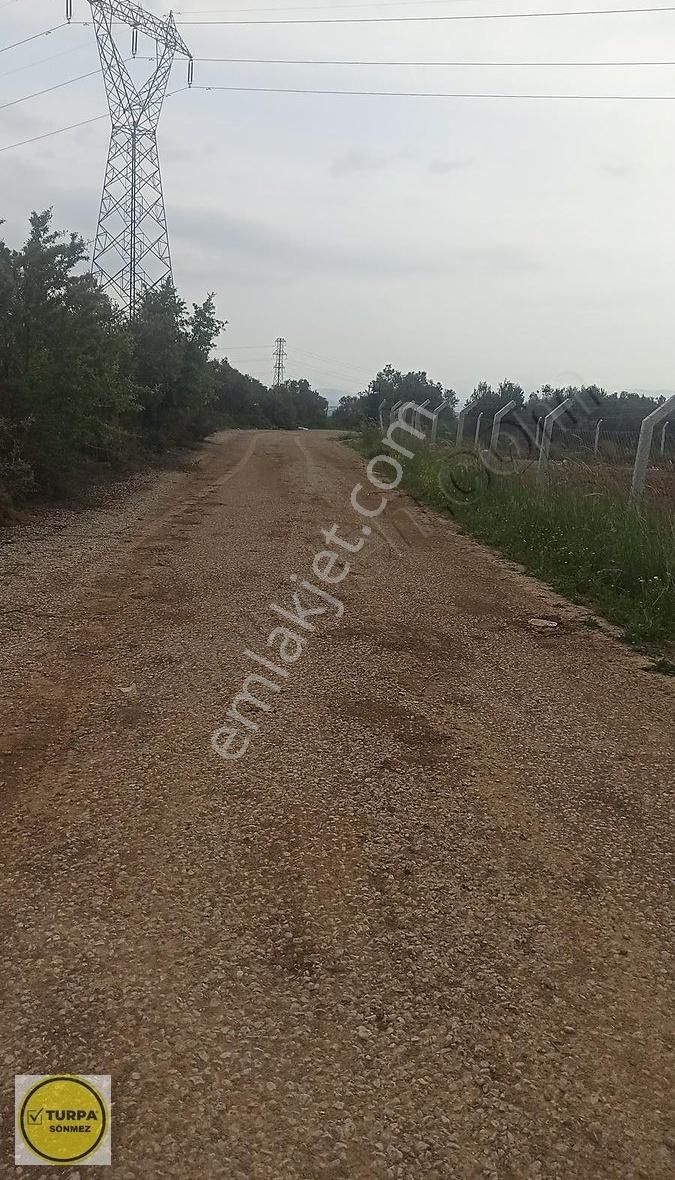 Bulgurca Köyü 9367 M2 Tek Müstakil Tapu - Satılık Zeytinlik - Görsel 20